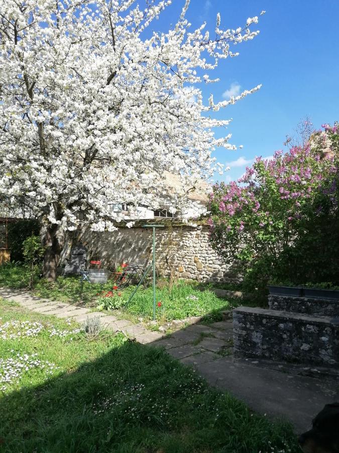 Chez Marylene Apartman Soisy-sur-Ecole Kültér fotó